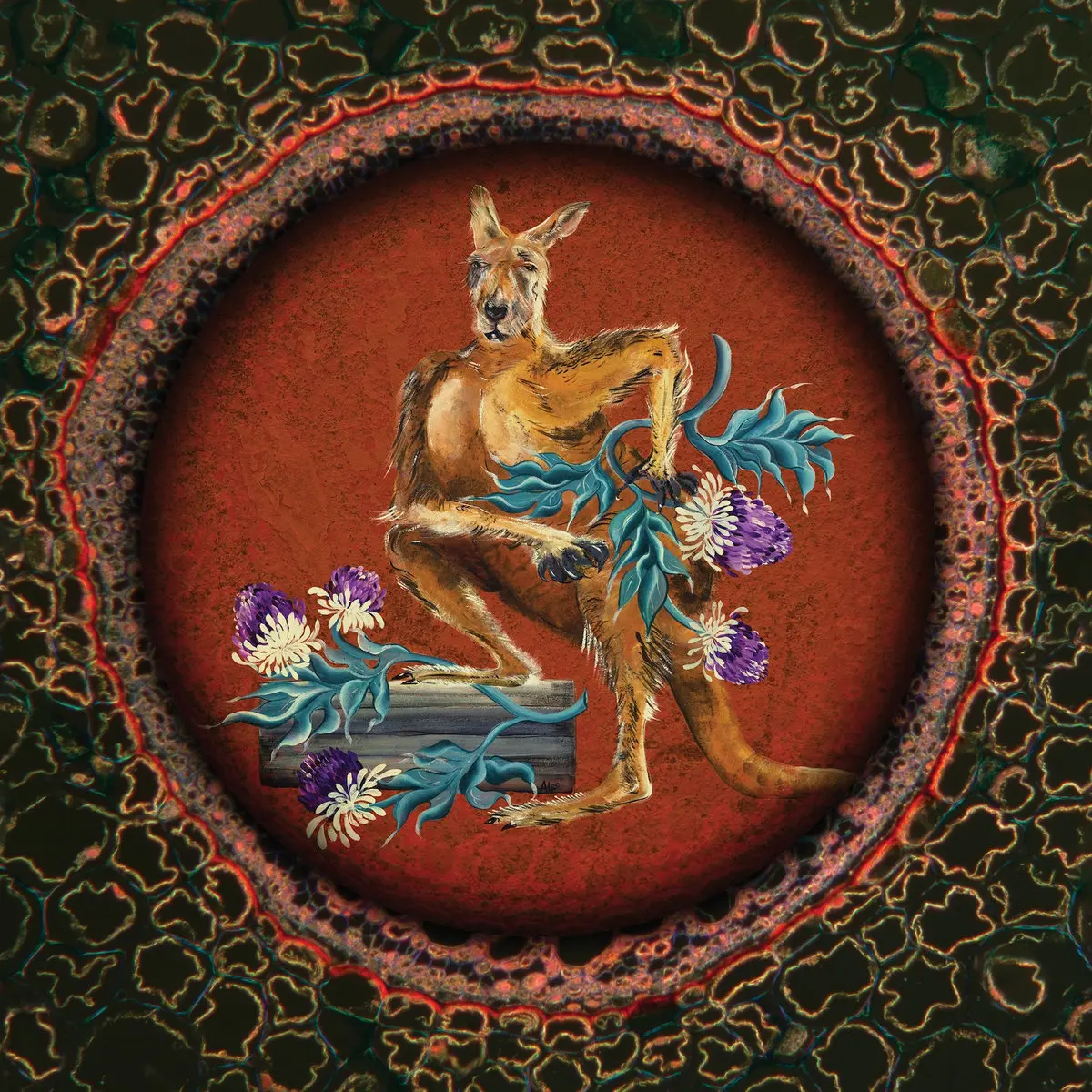 LSD: cover